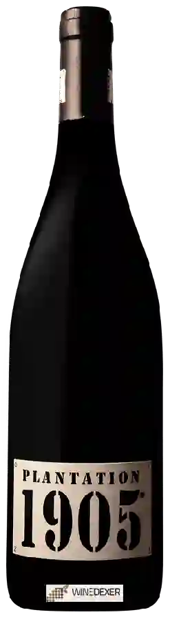 Domaine la Tour Boisée - Plantation 1905 Domaine la Tour Boisée - Plantation 1905