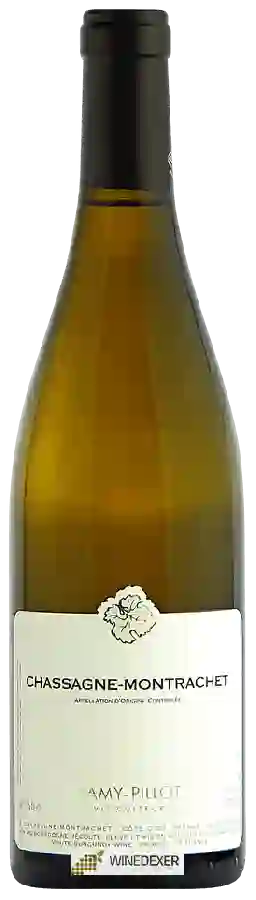 Winery Lamy-Pillot - Chassagne-Montrachet Blanc