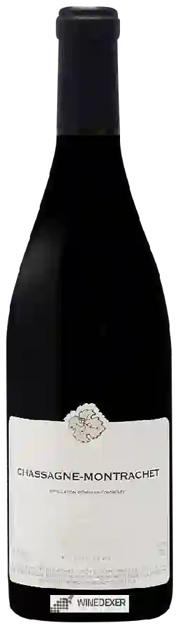 Winery Lamy-Pillot - Chassagne-Montrachet Rouge