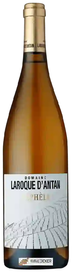 Domaine Laroque d'Antan - Néph&egravele