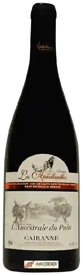 Domaine Les Aphillanthes - L'Ancestrale du Puits Cairanne Côtes du Rhône Villages