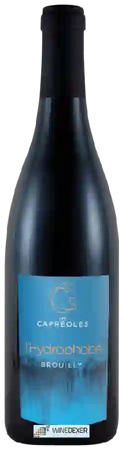 Domaine Les Capréoles - L'Hydrophobe Brouilly Domaine Les Capréoles - L'Hydrophobe Brouilly