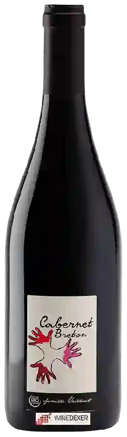 Domaine Les Grandes Vignes - Vaillant - Cabernet Breton