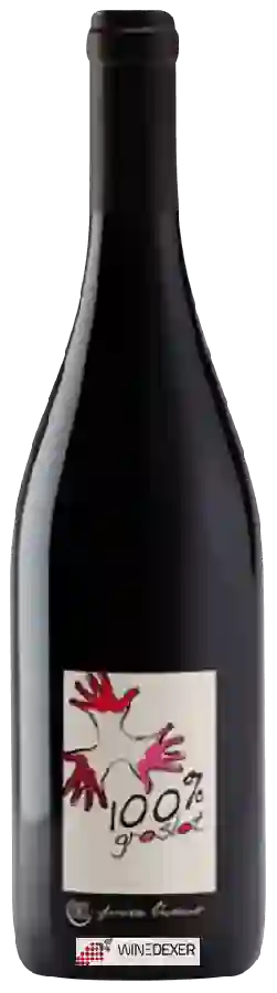 Domaine Les Grandes Vignes - Vaillant - Groslot Rouge