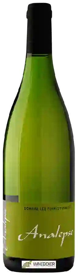 Domaine les Terres Promises - Analepse