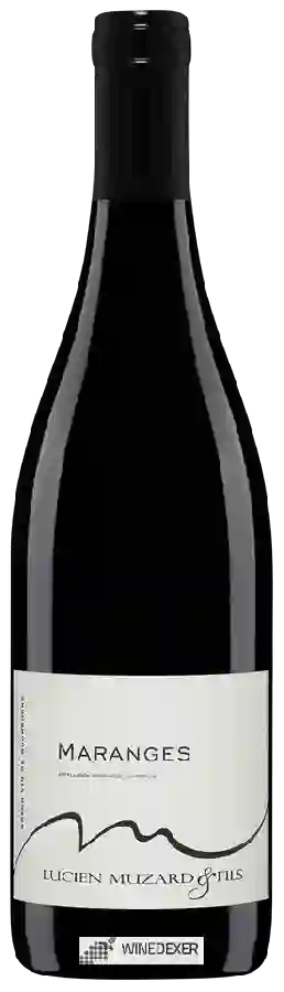 Winery Lucien Muzard & Fils - Maranges Winery Lucien Muzard & Fils - Maranges
