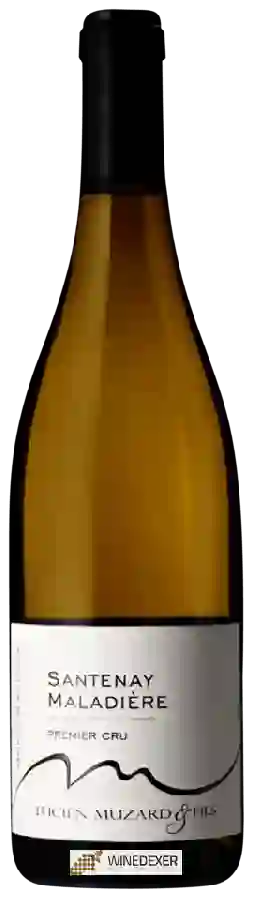 Winery Lucien Muzard & Fils - Santenay 1er Cru 'Maladière' Blanc Winery Lucien Muzard & Fils - Santenay 1er Cru 'Maladière' Blanc