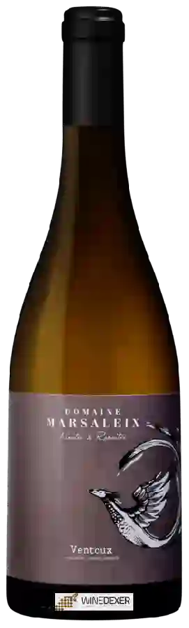 Domaine Marsaleix - Ventoux Blanc