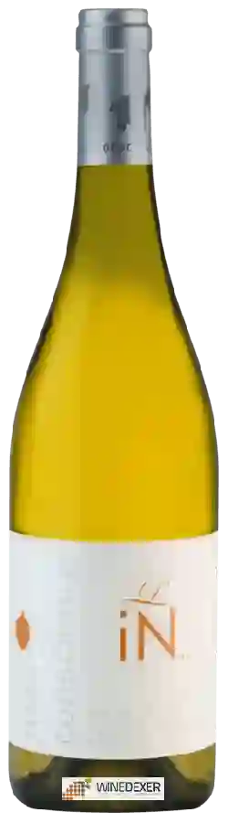 Winery Mas Conscience - L'In