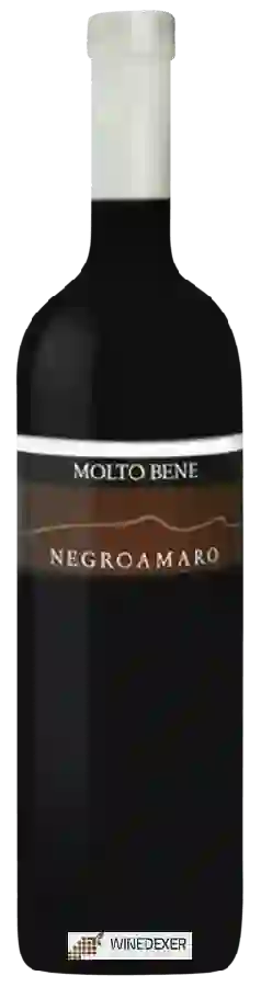 Winery Molto Bene - Negroamaro Winery Molto Bene - Negroamaro