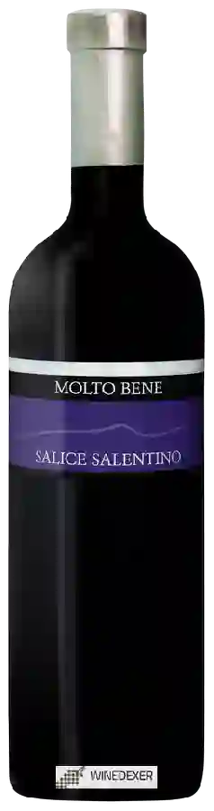 Winery Molto Bene - Salice Salentino Winery Molto Bene - Salice Salentino