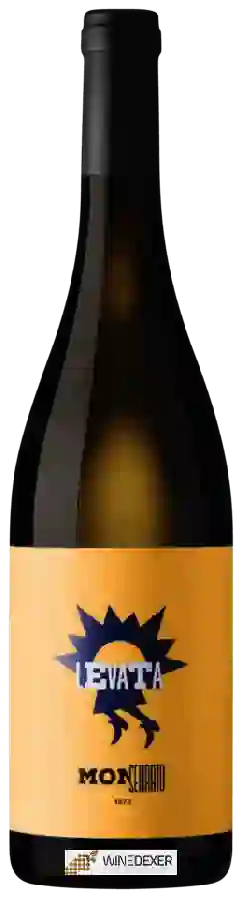 Winery Monserrato 1973 - Levata