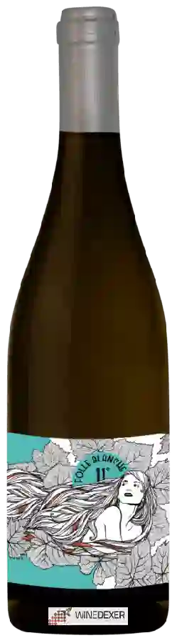 Domaine Moulin Camus - Huteau Boulanger - Folle Blanche