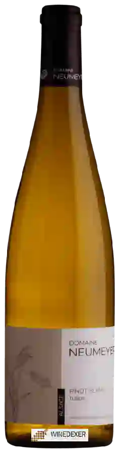 Domaine Neumeyer - Pinot Blanc Tulipe Domaine Neumeyer - Pinot Blanc Tulipe