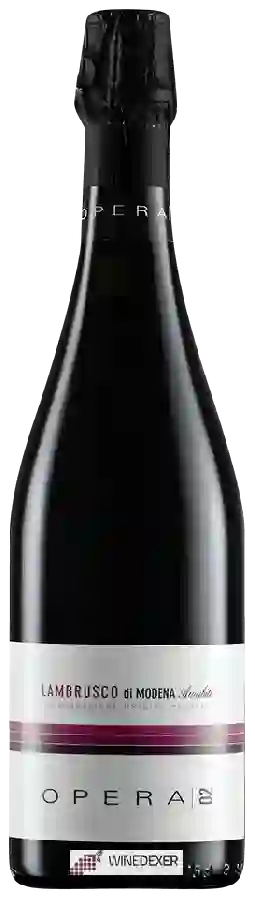 Winery Opera02 di Ca’ Montanari - Lambrusco di Modena Amabile