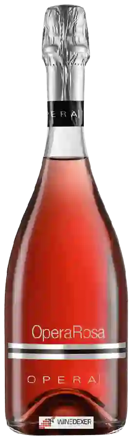 Winery Opera02 di Ca’ Montanari - Opera Rosa Winery Opera02 di Ca’ Montanari - Opera Rosa