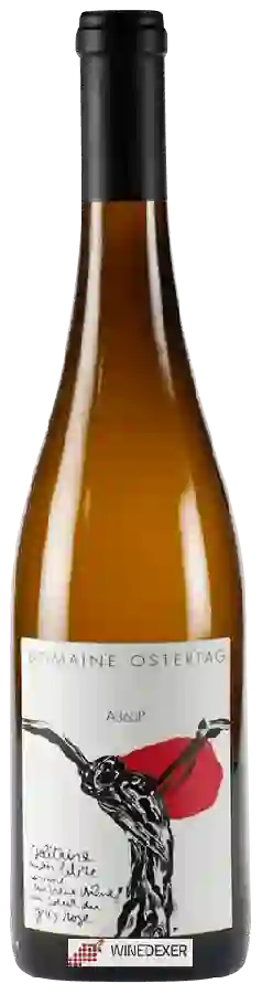 Domaine Ostertag - Muenchberg A360P Pinot Gris Domaine Ostertag - Muenchberg A360P Pinot Gris