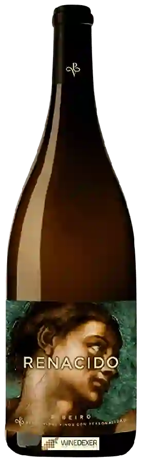 Winery Pablo Vidal - Vinos Con Personalidad - Renacido Winery Pablo Vidal - Vinos Con Personalidad - Renacido