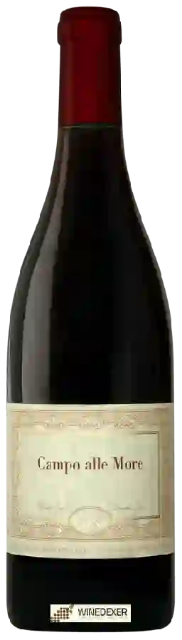 Winery Gini - Campo alle More