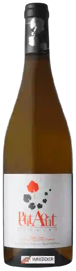 Domaine du Petit Août - Sur Le Fil Domaine du Petit Août - Sur Le Fil