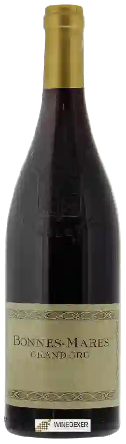 Domaine Philippe Charlopin-Parizot - Bonnes-Mares Grand Cru
