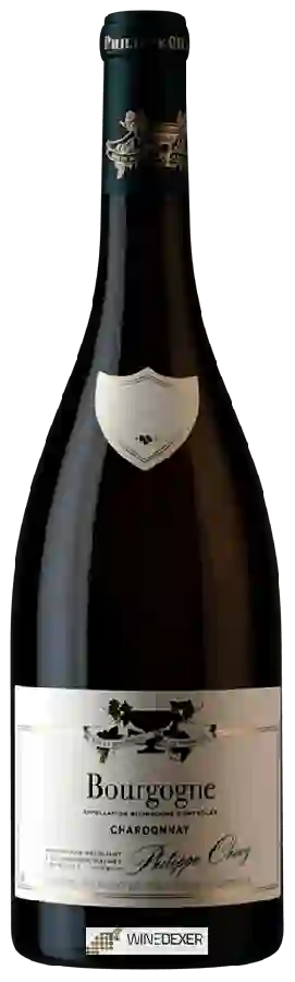 Winery Philippe Chavy - Bourgogne Chardonnay Winery Philippe Chavy - Bourgogne Chardonnay