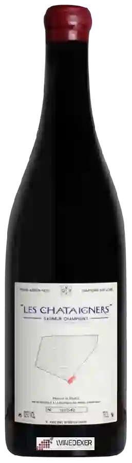 Domaine Pierre - Adrien Vadé - Les Chataigners Saumur-Champigny Domaine Pierre - Adrien Vadé - Les Chataigners Saumur-Champigny