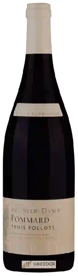 Domaine  Prunier Damy - Pommard 'Trois Follots'