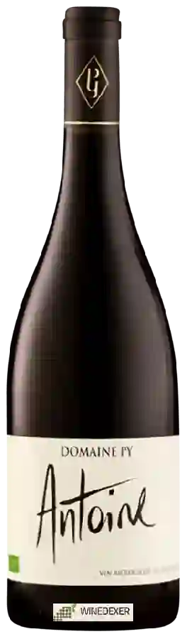 Domaine Py - Antoine  Corbières