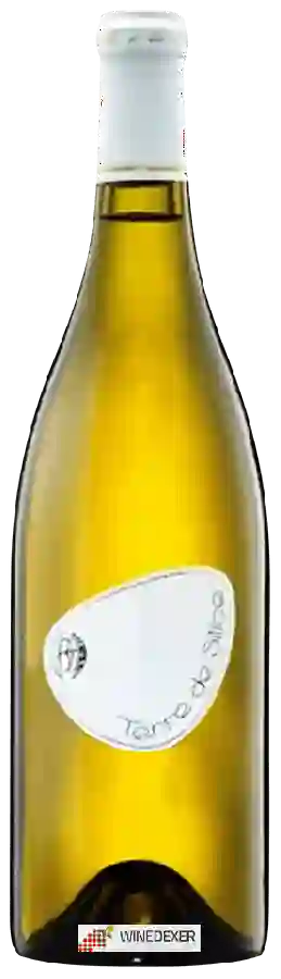 Winery Reynald Héaulé - Terre de Silice