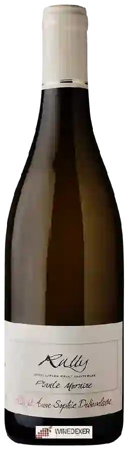 Domaine Rois Mages - Anne-Sophie Debavelaere - Plante Moraine Rully