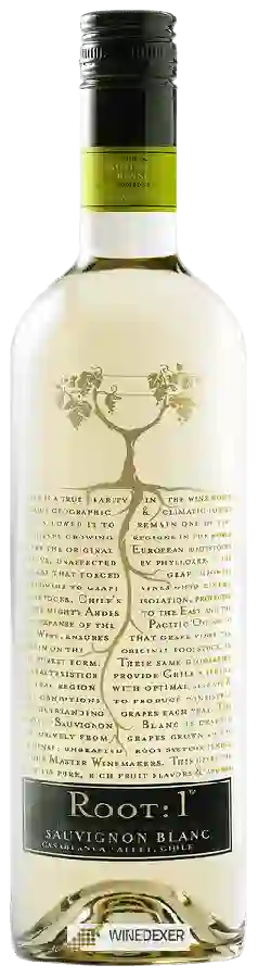 Winery Root 1 - Sauvignon Blanc