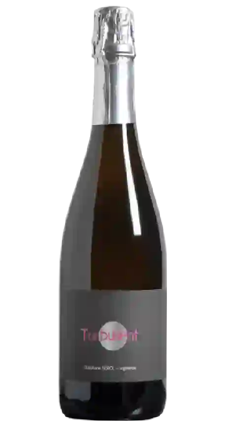 Domaine Rougeyron - Côtes d'Auvergne Gamay Rosé