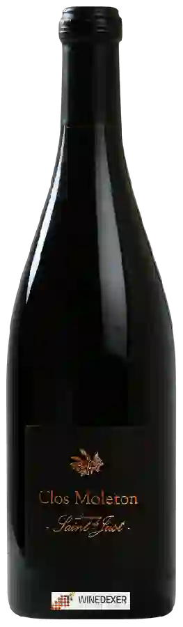 Domaine de Saint Just - Clos Moleton
