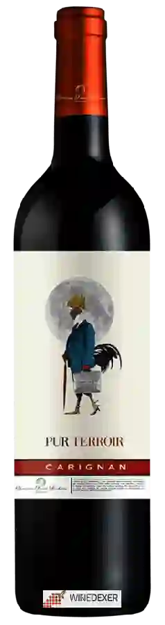 Domaine Sainte Luchaïre - Pur Terroir Carignan