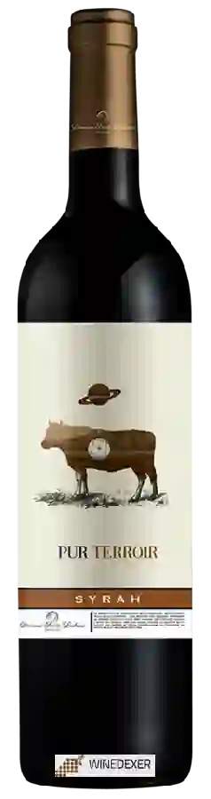 Domaine Sainte Luchaïre - Pur Terroir Syrah