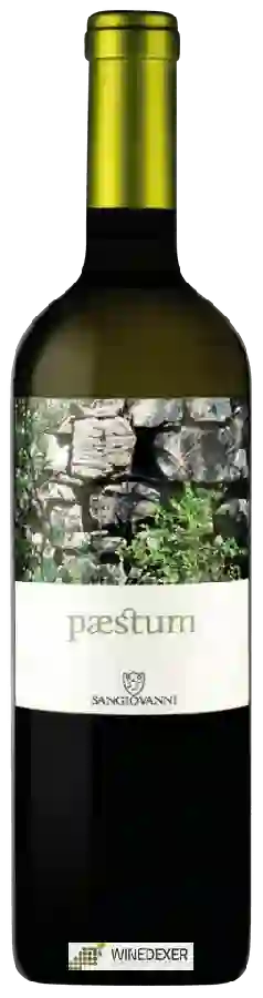 Winery San Giovanni - Paestum