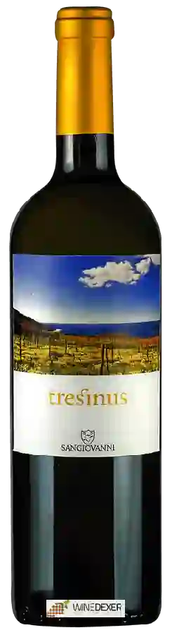 Winery San Giovanni - Tresinus Winery San Giovanni - Tresinus