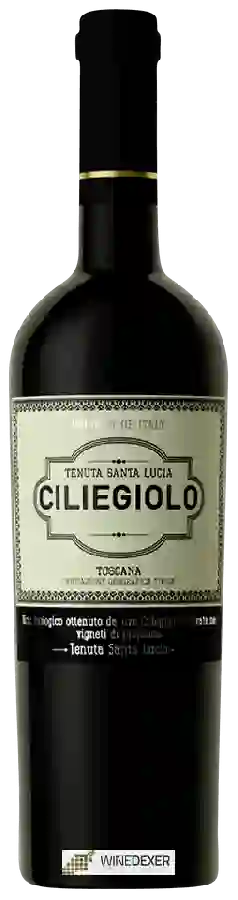 Winery Santa Lucia - Ciliegiolo Winery Santa Lucia - Ciliegiolo