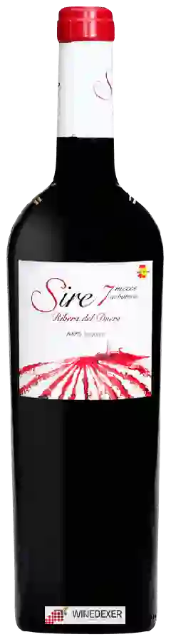 Winery Sire - 7 Meses en Barrica