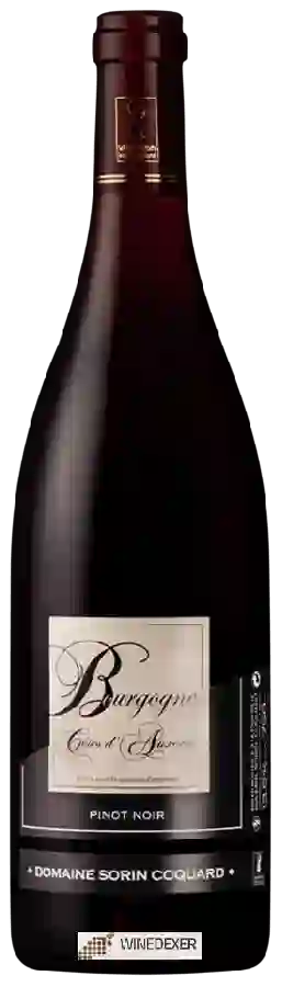 Domaine Sorin Coquard - Bourgogne Côtes d'Auxerre Rouge Domaine Sorin Coquard - Bourgogne Côtes d'Auxerre Rouge