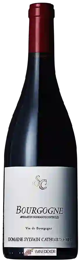 Domaine Sylvain Cathiard - Bourgogne