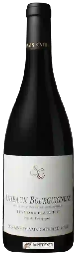 Domaine Sylvain Cathiard - Coteaux Bourguignons 'Les Croix Blanches' Domaine Sylvain Cathiard - Coteaux Bourguignons 'Les Croix Blanches'