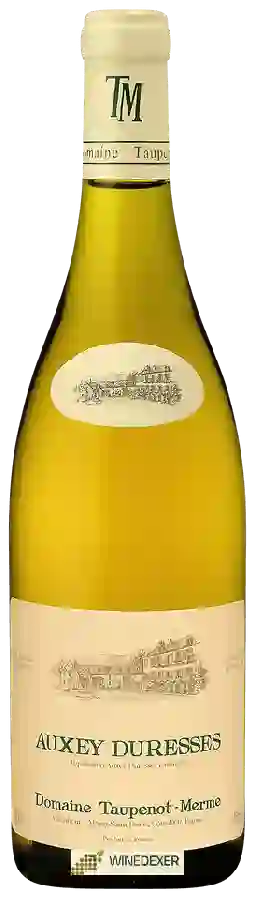 Domaine Taupenot-Merme - Auxey Duresses Blanc