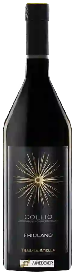 Winery Tenuta Stella - Friulano