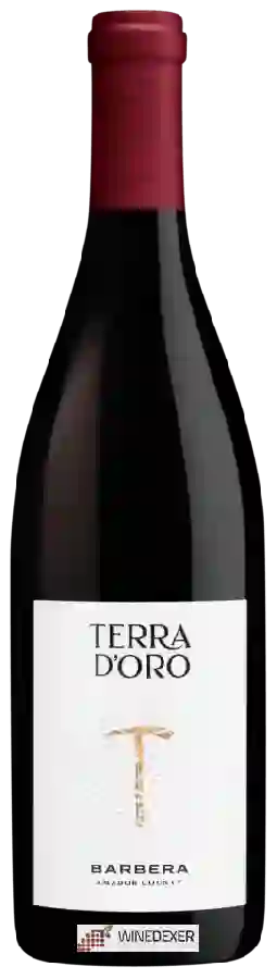 Winery Terra d'Oro - Barbera Winery Terra d'Oro - Barbera