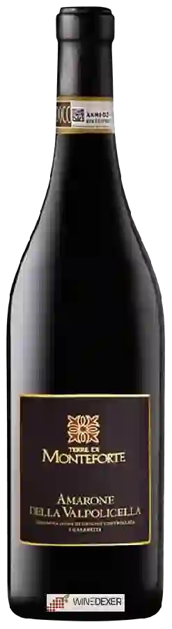 Winery Terre di Monteforte - Amarone della Valpolicella