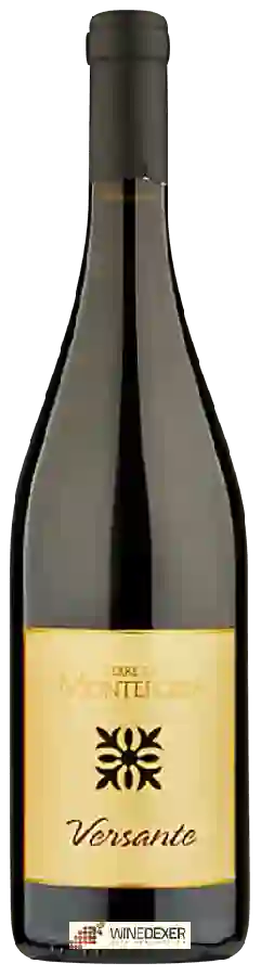 Winery Terre di Monteforte - Versante