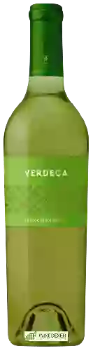 Winery Terrecarsiche 1939 - Verdeca