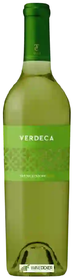 Winery Terrecarsiche 1939 - Verdeca Winery Terrecarsiche 1939 - Verdeca